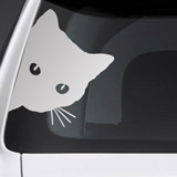 Autocollants: Chat Curieux 3
