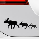 Autocollants: Famille Elk 3