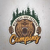 Autocollants: Camping Wildness and Extreme 3