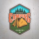 Autocollants: Camping Summer 3