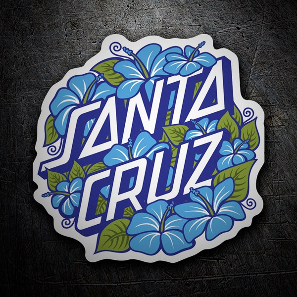 Autocollants: Santa Cruz
