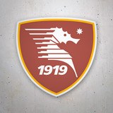 Autocollants: US Salernitana 3