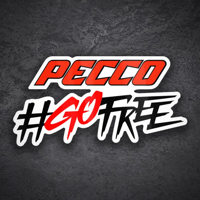 Autocollants: Francesco Bagnaia Pecco