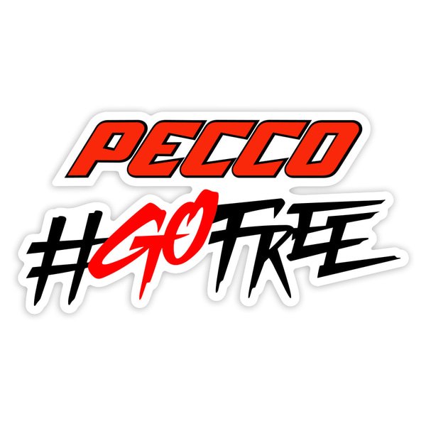 Autocollants: Francesco Bagnaia Pecco