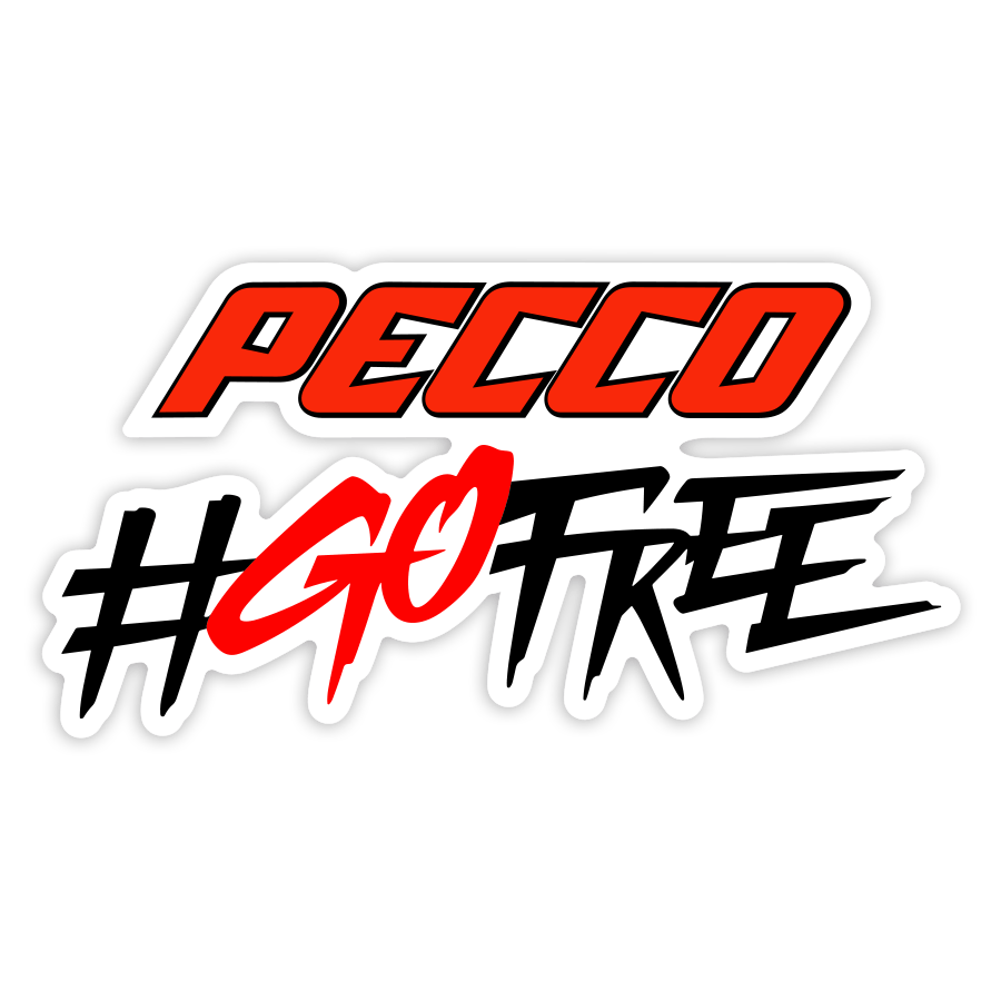 Autocollants: Francesco Bagnaia Pecco