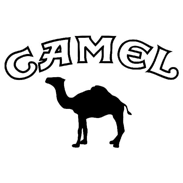 Autocollants: Camel