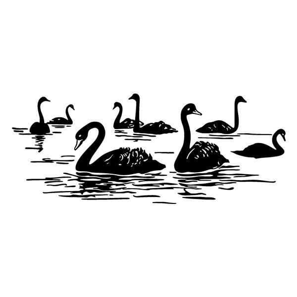 Stickers muraux: Cygnes sur le Lac