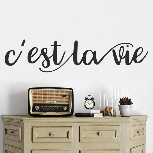 Stickers muraux: C'est la vie, français
