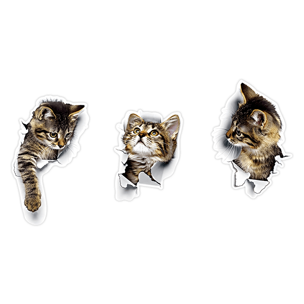 Stickers muraux: 3 chats méchants
