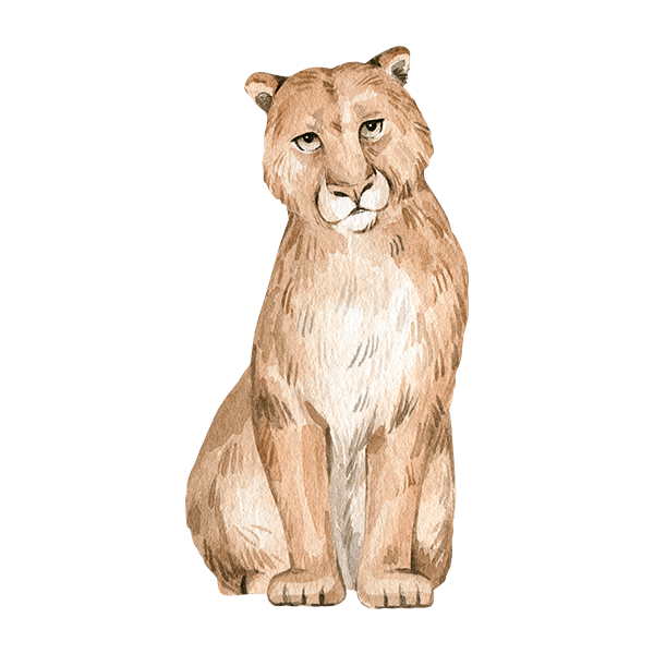 Stickers pour enfants: Lionne aux yeux verts