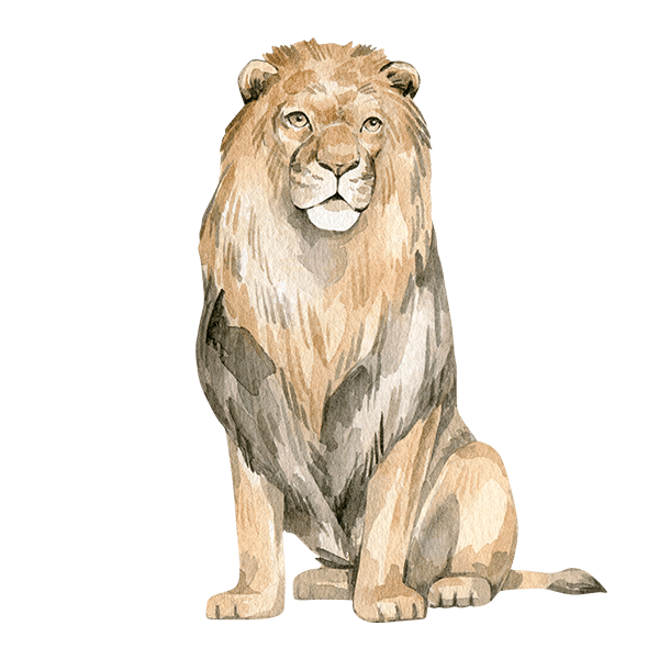 Stickers pour enfants: Le roi de la jungle