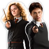 Stickers muraux: Personnages de Harry Potter 4