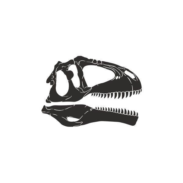 Stickers pour enfants: Crâne de dinosaure