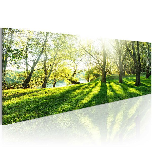 Autres produits: Rayons de soleil entre les arbres