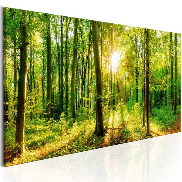 Autres produits: Forêt magique