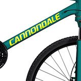 Autocollants: Kit 15X Vélo VTT Cannondale Ultimate 2
