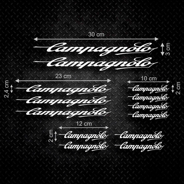 Autocollants: 13X Campagnolo
