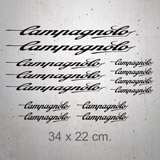 Autocollants: 13X Campagnolo 2