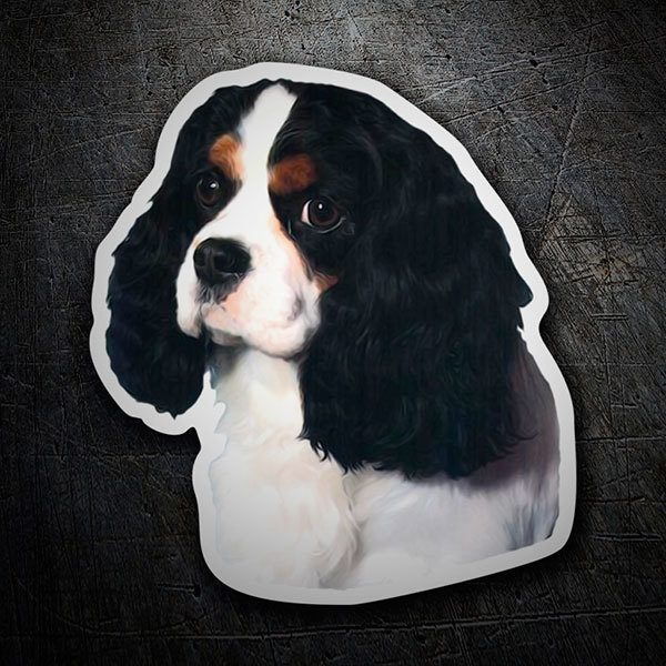 Autocollants: Épagneul Cavalier King Charles