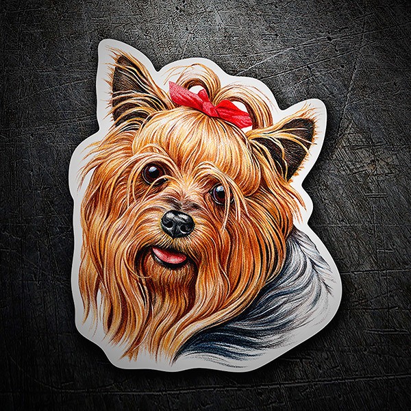 Autocollants: Yorkie