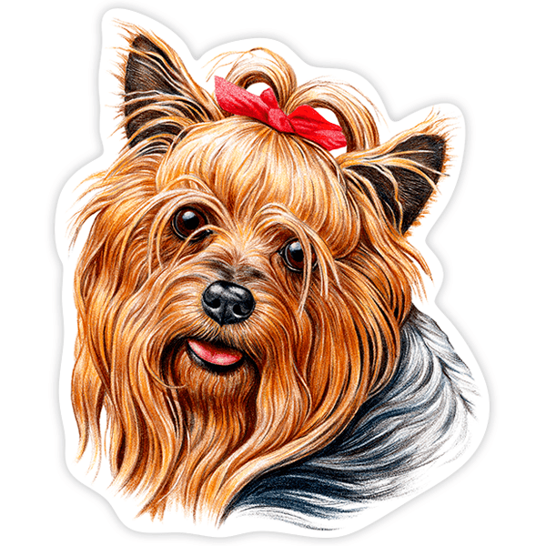 Autocollants: Yorkie