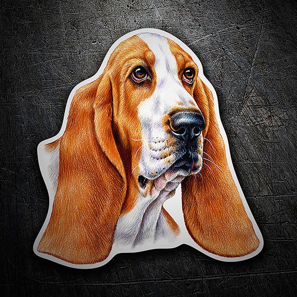 Autocollant chien Basset Hound | WebStickersMuraux.com
