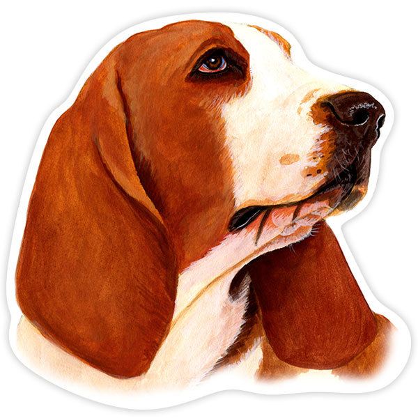 Autocollants: Basset Hound