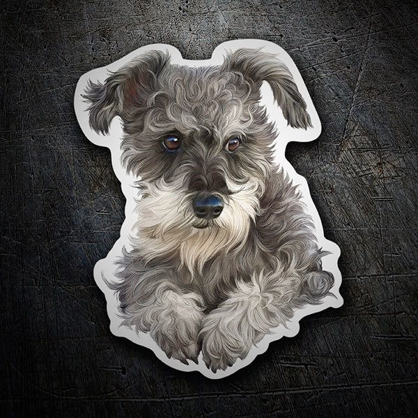 Autocollants: Chiot Schnauzer