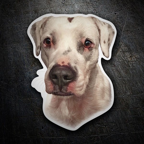 Autocollants: Dogue Argentin
