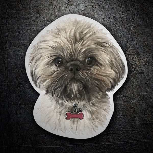 Autocollants: Shih Tzu