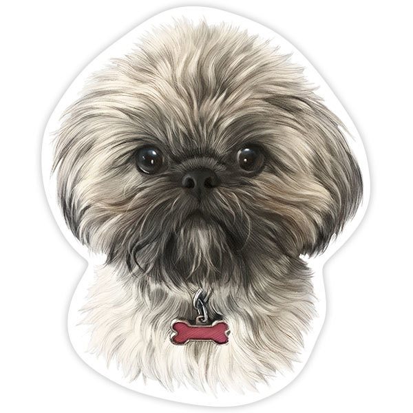 Autocollants: Shih Tzu