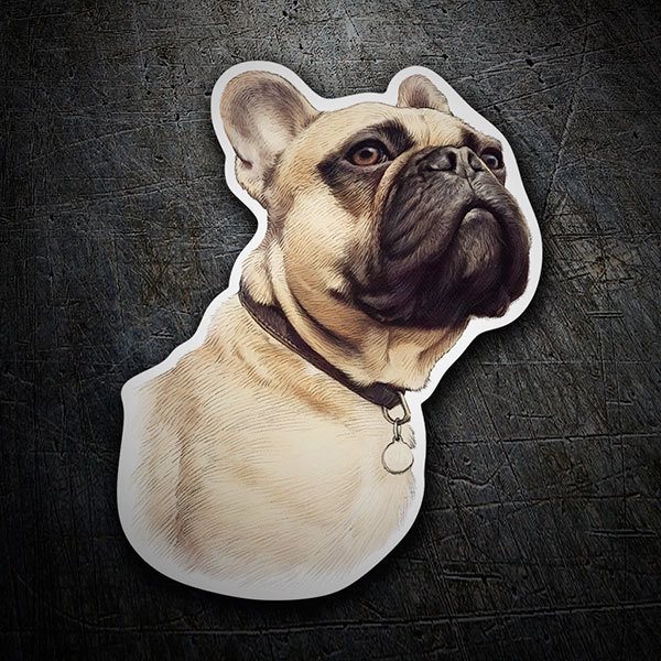 Autocollants: Bouledogue Français