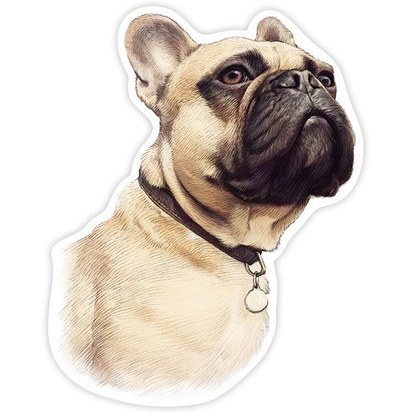 Autocollants: Bouledogue Français