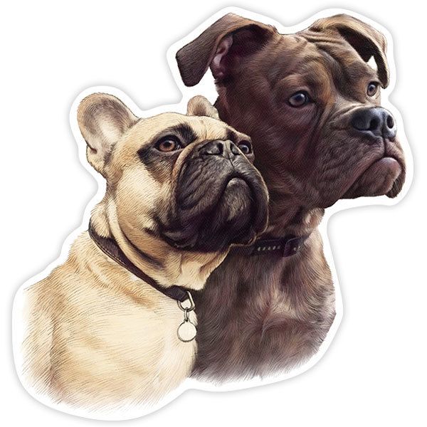 Autocollants: Couple de Bouledogues Français