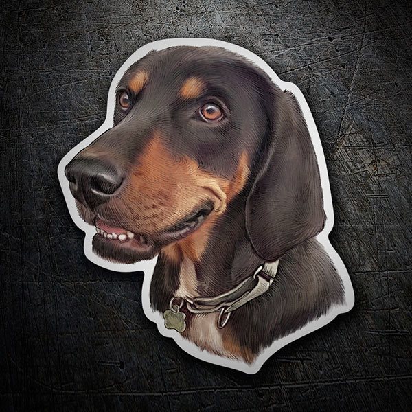 Autocollants: Teckel (Chien Saucisse)