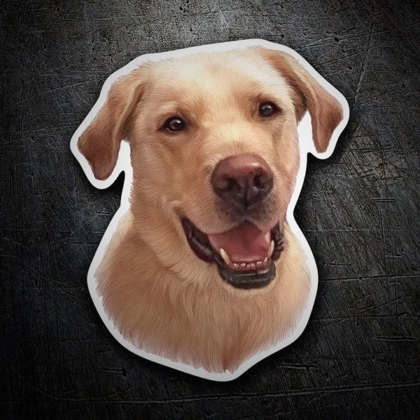 Sticker Labrador 1/1