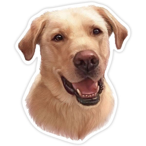 Autocollants: Golden Retriever