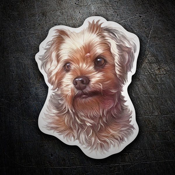 Autocollants: Yorkshire Terrier écossais