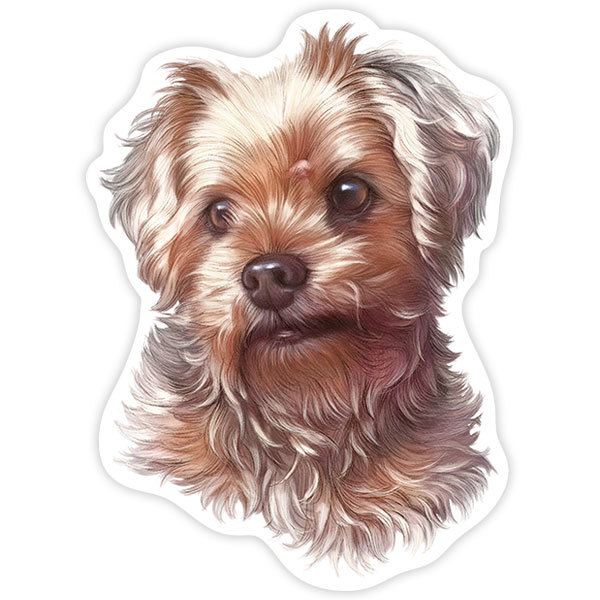 Autocollants: Yorkshire Terrier