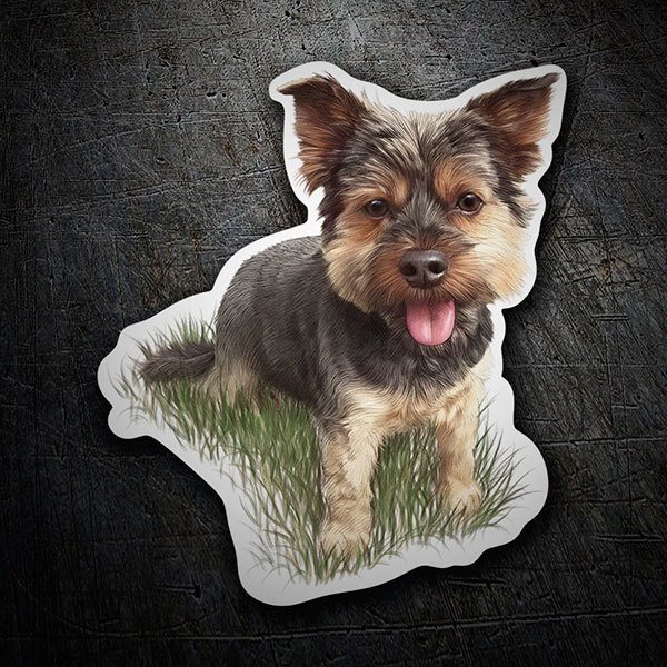 Autocollants: Yorkie Joueur
