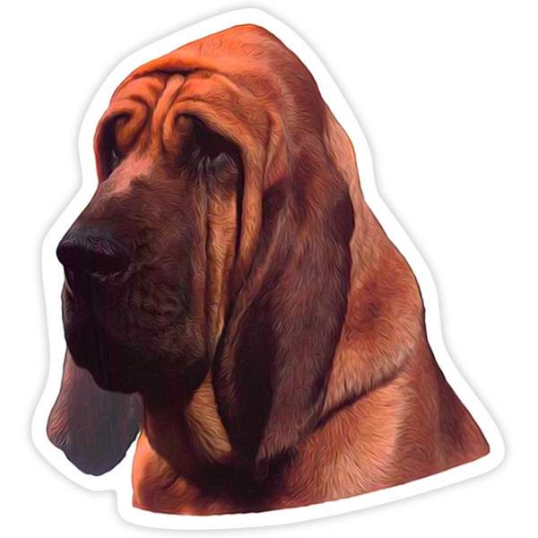 Autocollant Chien de Saint-Hubert | WebStickersMuraux.com