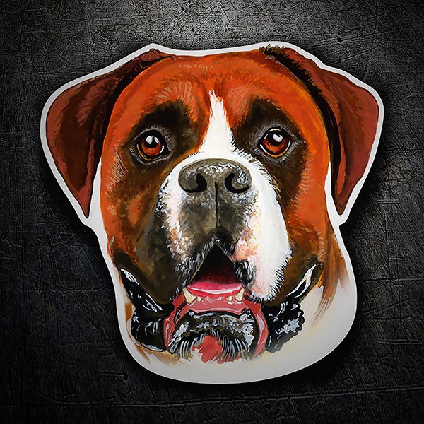 Autocollants: Boxer