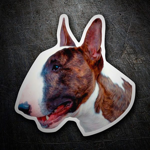 Autocollants: Bull Terrier