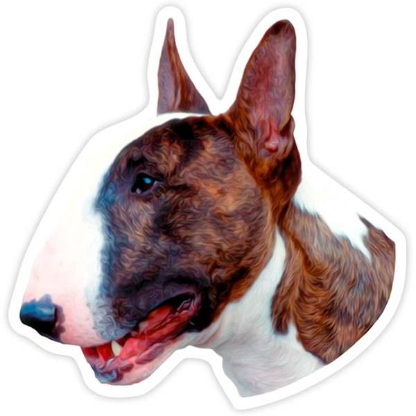 Autocollants: Bull Terrier anglais