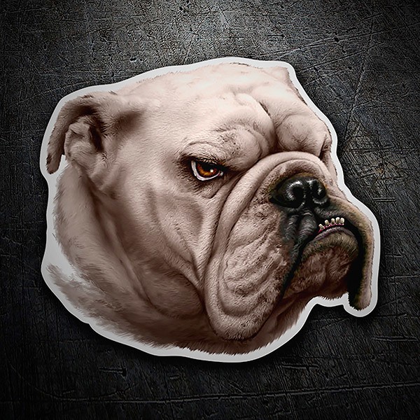 Autocollants: Bulldog Anglais