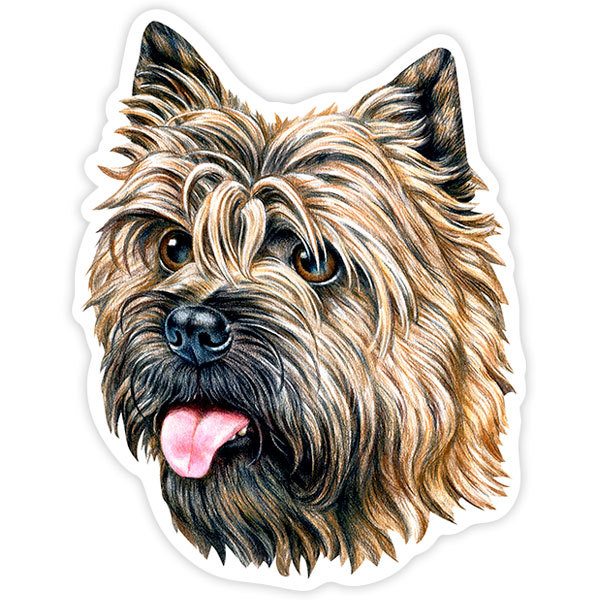 Autocollants: Cairn Terrier