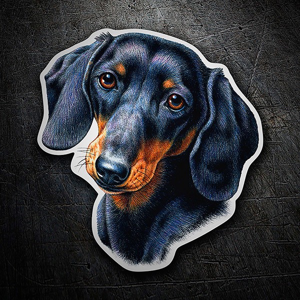 Autocollants: Teckel (Chien Saucisse)