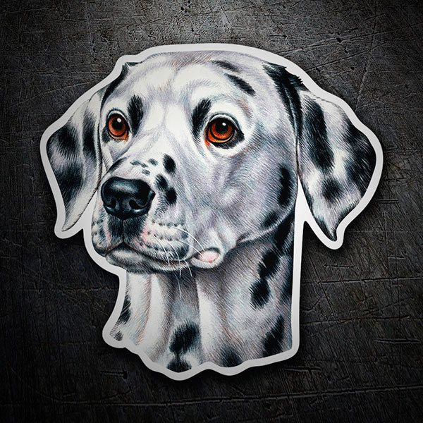 Autocollants: DalmatiEn