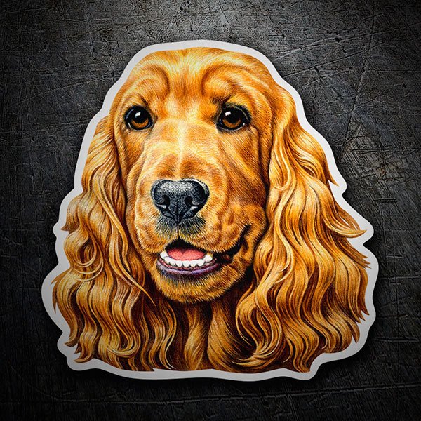 Autocollants: Cocker Spaniel Marron