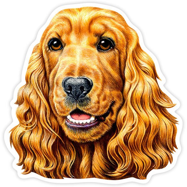 Autocollants: Cocker Spaniel Marron